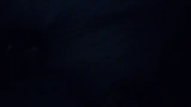 Mrpito7878 online show from March 8, 2025, 2:40 pm