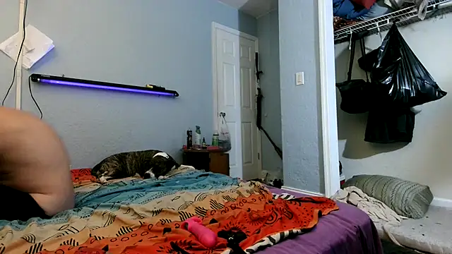 PornStro921 online show from March 14, 2025, 11:32 pm