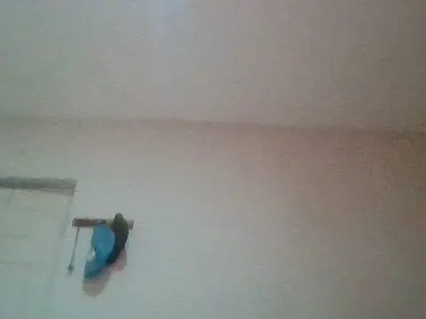 Snapshot of bafeng chatting on July 24, 2026, 9:40 am bafeng online show from July 24, 2026, 9:40 am