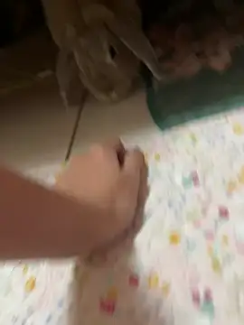 ladypaggy online show from March 4, 2026, 4:02 pm