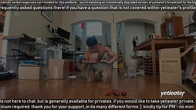 yetieater online show from March 16, 2025, 5:07 pm