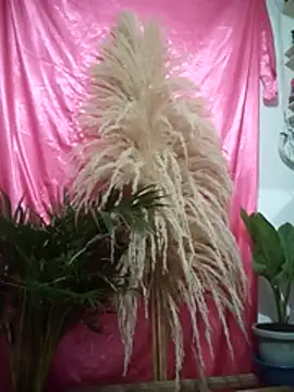 John los666 hot online show from April 11, 2026, 7:45 am