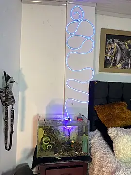 CRAZY-BOY99 online show from December 16, 2025, 11:04 am