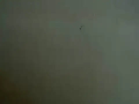 Snapshot of mayra89 chatting on March 29, 2026, 8:25 am mayra89 online show from March 29, 2026, 8:25 am