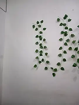 Neha-Bhabhi-Rasily online show from November 7, 2025, 3:12 pm