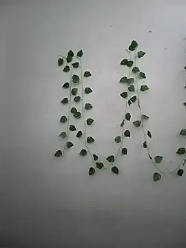 Neha-Bhabhi-Rasily online show from December 17, 2025, 7:47 am