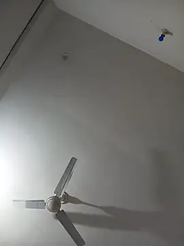 Neha-Bhabhi-Rasily online show from April 14, 2026, 8:26 pm