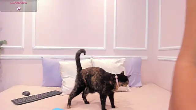 Lucy Canel online show from January 31, 2026, 7:11 pm