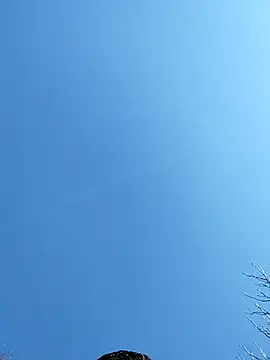 Snapshot of Anthopassif84 chatting on March 17, 2025, 3:18 pm Anthopassif84 online show from March 17, 2025, 3:18 pm