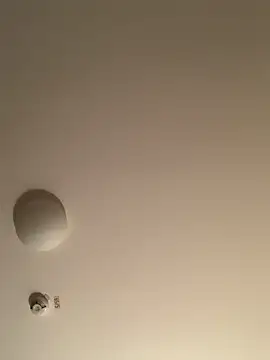 Saysay-7 online show from November 20, 2025, 11:26 pm