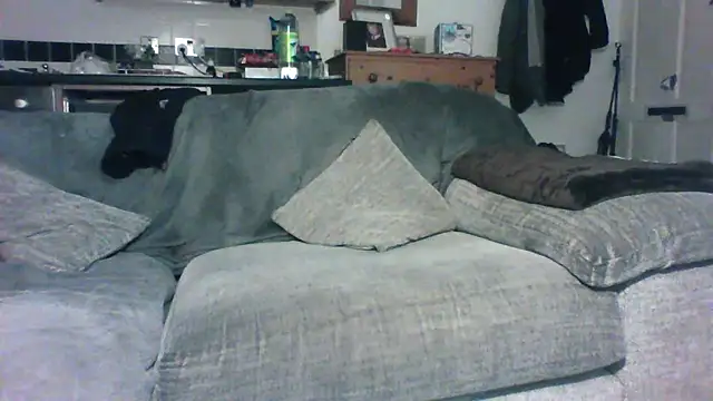 Grower and shower online show from November 30, 2025, 11:42 pm