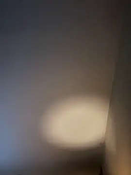 KITTYBOOBOOFUXX online show from February 3, 2026, 6:51 am