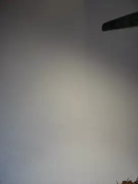 KITTYBOOBOOFUXX online show from April 5, 2026, 5:59 am