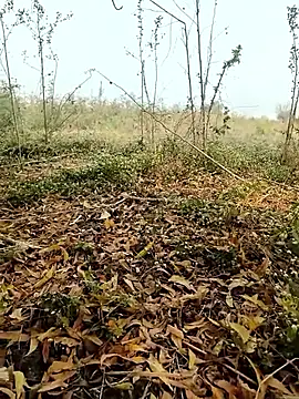 himvilohi08 online show from February 4, 2026, 4:07 am