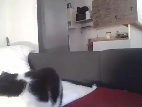 ThePython666 online show from March 22, 2025, 7:25 am