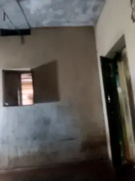 PolarFriend0 online show from February 17, 2026, 12:56 pm