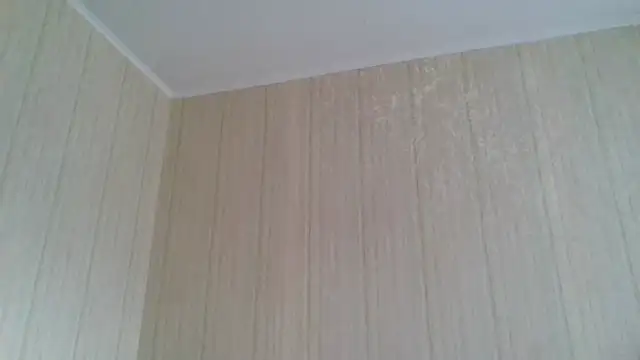  Black-Panther  online show from February 11, 2026, 9:58 am