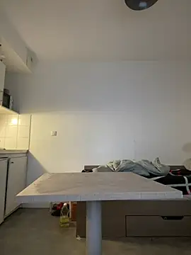 Renoirmonter online show from January 15, 2026, 9:14 am