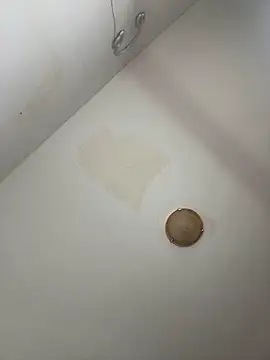 DarkVelvet online show from November 14, 2025, 12:04 pm