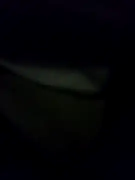 Hema0Hema online show from February 21, 2026, 10:33 pm