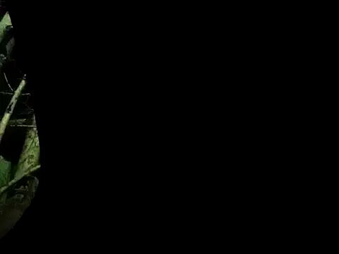Snapshot of ConfidedAward chatting on September 13, 2025, 11:21 am ConfidedAward online show from September 13, 2025, 11:21 am