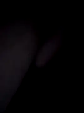 20cmdicazzo online show from November 4, 2025, 12:10 am