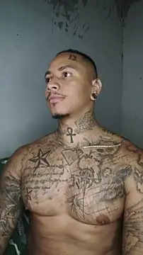 David tatto1 online show from March 3, 2026, 3:34 am