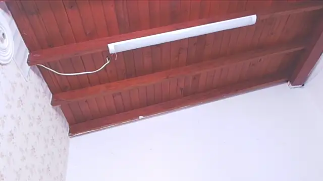 celeste moonx online show from October 14, 2025, 11:55 am