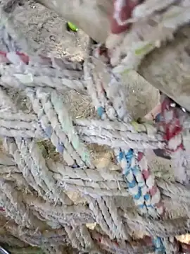 Naveen9100Unity online show from April 12, 2026, 10:31 am