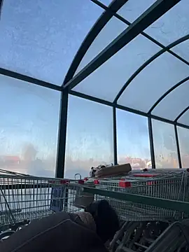 MiraReach online show from October 15, 2025, 4:34 am