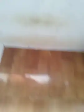 O Mascarado NK online show from March 21, 2026, 12:43 pm