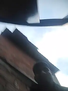 ashtoncooperr online show from December 22, 2025, 11:29 am