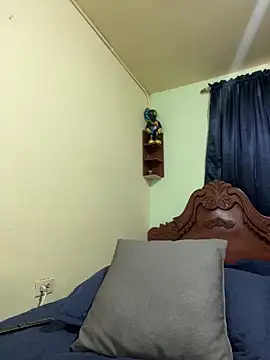 Snapshot of MaxDell chatting on November 19, 2025, 8:31 pm MaxDell online show from November 19, 2025, 8:31 pm