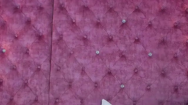 MaddisonBelucci online show from November 22, 2025, 10:31 pm