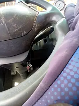 Bob black online show from April 13, 2026, 11:16 am