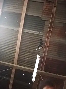 Davir2001 online show from March 1, 2026, 11:56 am