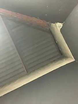 soueuweslley online show from March 10, 2026, 4:17 am