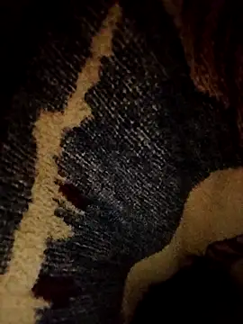 ParousFlow online show from April 16, 2026, 9:39 pm
