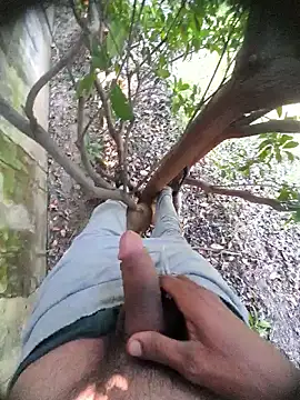 Desi Horny Boys online show from November 18, 2025, 5:45 am