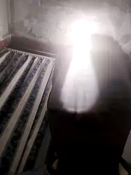 13elvergon online show from November 25, 2025, 10:04 am