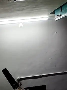 papukurty online show from November 9, 2025, 2:21 am