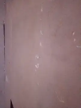 juanpa8453 online show from April 23, 2026, 4:03 am