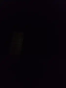 silvaa89 online show from December 2, 2025, 1:00 am