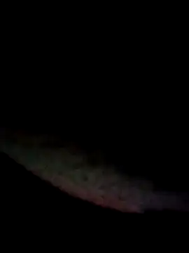 kamita-12 online show from January 16, 2026, 8:24 pm