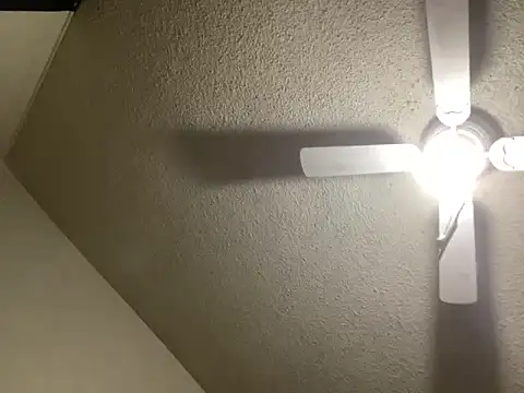 NiftyCaptain3 online show from March 31, 2026, 3:45 pm