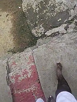 Telugu person12 online show from October 2, 2025, 6:42 am