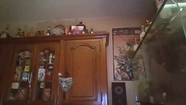 Snapshot of zipman92 chatting on January 15, 2026, 5:45 am zipman92 online show from January 15, 2026, 5:45 am