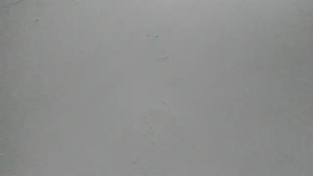 Sophia Ebony online show from February 25, 2026, 12:04 pm