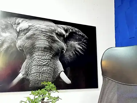 king falconer online show from December 2, 2025, 12:49 am