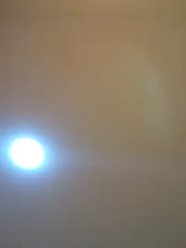 Oriana111 online show from March 12, 2026, 12:00 pm